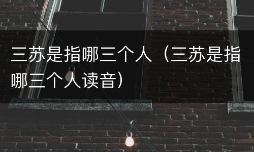 三苏是指哪三个人（三苏是指哪三个人读音）