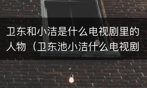 卫东和小洁是什么电视剧里的人物（卫东池小洁什么电视剧）