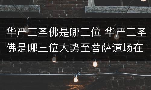 华严三圣佛是哪三位 华严三圣佛是哪三位大势至菩萨道场在哪里