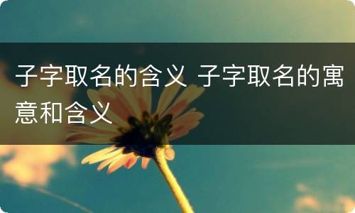 子字取名的含义 子字取名的寓意和含义
