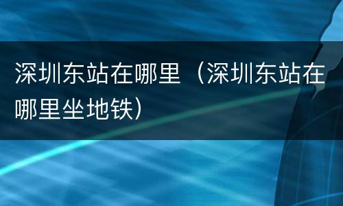 深圳东站在哪里（深圳东站在哪里坐地铁）