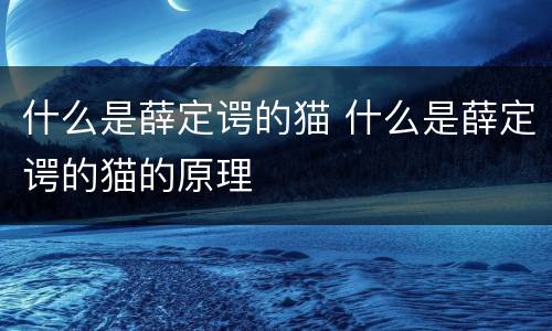 什么是薛定谔的猫 什么是薛定谔的猫的原理