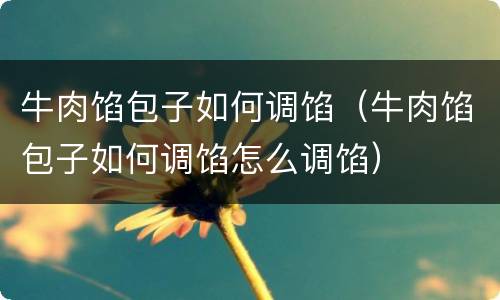 牛肉馅包子如何调馅（牛肉馅包子如何调馅怎么调馅）