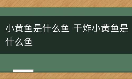 小黄鱼是什么鱼 干炸小黄鱼是什么鱼