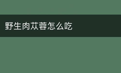 野生肉苁蓉怎么吃