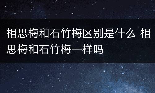 相思梅和石竹梅区别是什么 相思梅和石竹梅一样吗