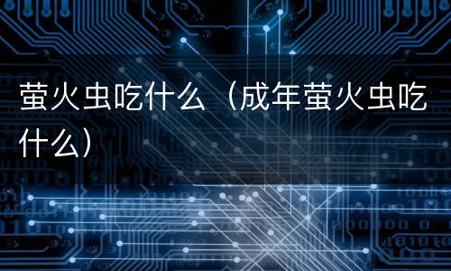 萤火虫吃什么（成年萤火虫吃什么）