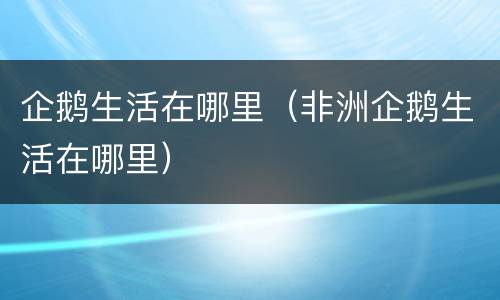 企鹅生活在哪里（非洲企鹅生活在哪里）