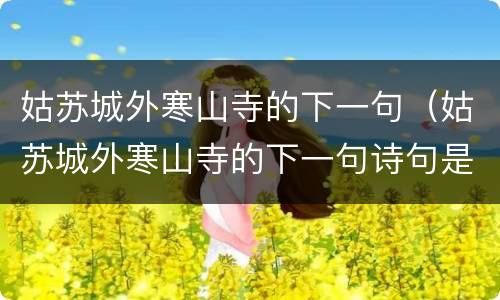 姑苏城外寒山寺的下一句（姑苏城外寒山寺的下一句诗句是什么）