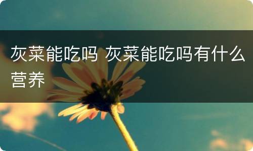 灰菜能吃吗 灰菜能吃吗有什么营养