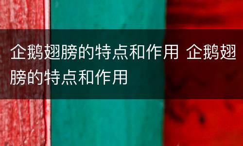 企鹅翅膀的特点和作用 企鹅翅膀的特点和作用
