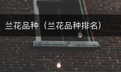 兰花品种（兰花品种排名）