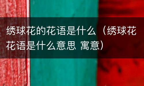 绣球花的花语是什么（绣球花花语是什么意思 寓意）