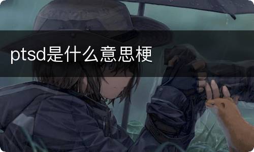 ptsd是什么意思梗