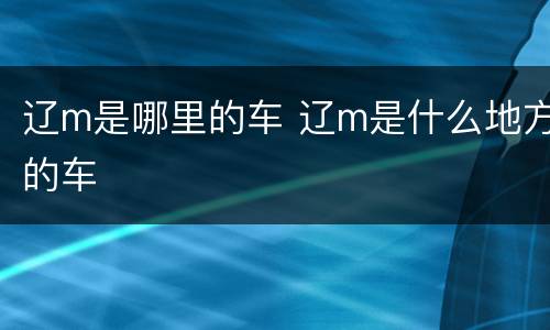 辽m是哪里的车 辽m是什么地方的车
