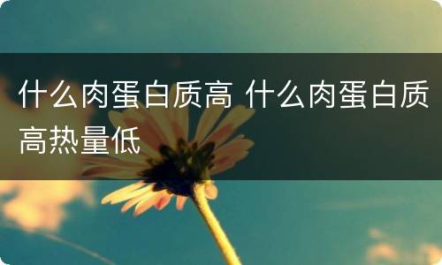 什么肉蛋白质高 什么肉蛋白质高热量低