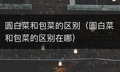 圆白菜和包菜的区别（圆白菜和包菜的区别在哪）