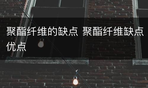 聚酯纤维的缺点 聚酯纤维缺点优点