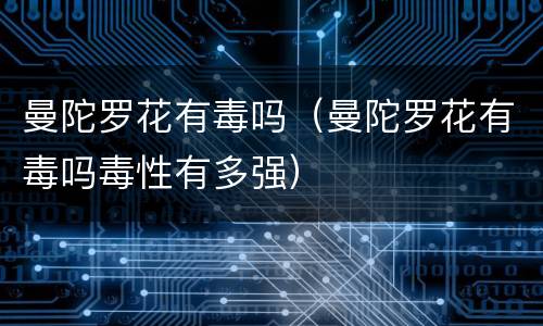 曼陀罗花有毒吗（曼陀罗花有毒吗毒性有多强）