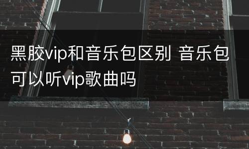 黑胶vip和音乐包区别 音乐包可以听vip歌曲吗