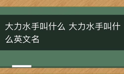 大力水手叫什么 大力水手叫什么英文名