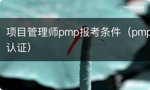 项目管理师pmp报考条件（pmp认证）