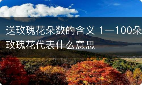 送玫瑰花朵数的含义 1一100朵玫瑰花代表什么意思