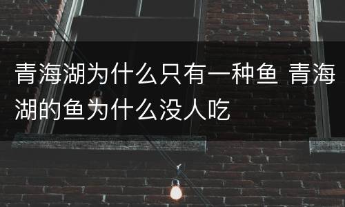 青海湖为什么只有一种鱼 青海湖的鱼为什么没人吃