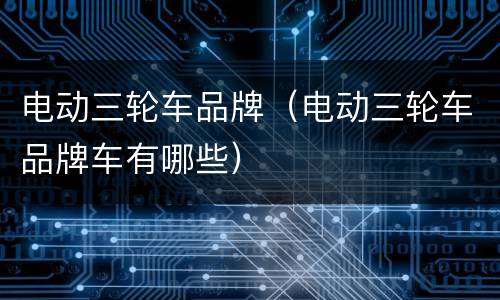电动三轮车品牌（电动三轮车品牌车有哪些）