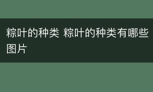粽叶的种类 粽叶的种类有哪些图片
