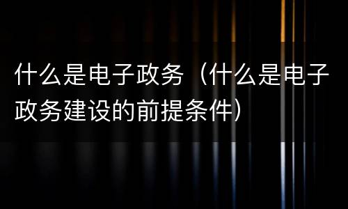 什么是电子政务（什么是电子政务建设的前提条件）