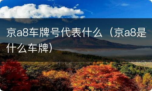 京a8车牌号代表什么（京a8是什么车牌）