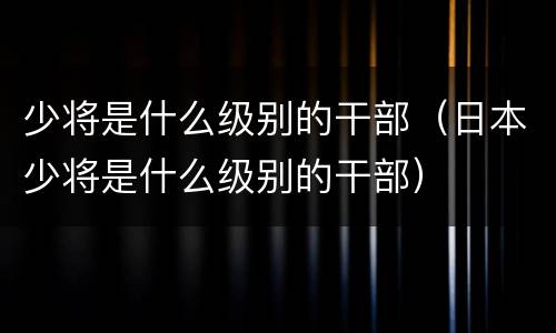 少将是什么级别的干部（日本少将是什么级别的干部）