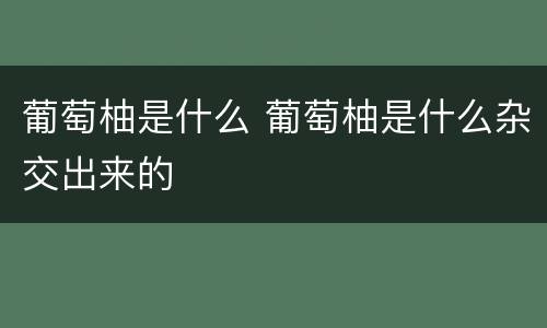 葡萄柚是什么 葡萄柚是什么杂交出来的
