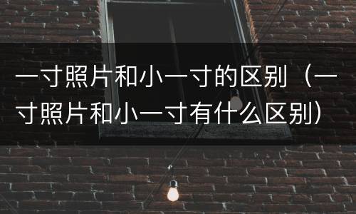 一寸照片和小一寸的区别（一寸照片和小一寸有什么区别）
