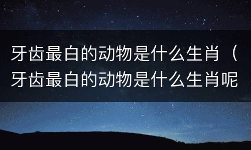 牙齿最白的动物是什么生肖（牙齿最白的动物是什么生肖呢）