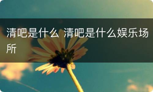 清吧是什么 清吧是什么娱乐场所