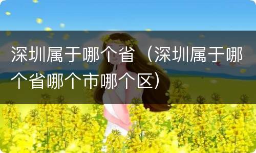 深圳属于哪个省（深圳属于哪个省哪个市哪个区）