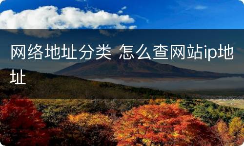 网络地址分类 怎么查网站ip地址