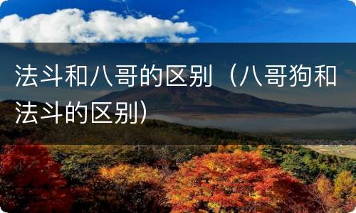 法斗和八哥的区别（八哥狗和法斗的区别）
