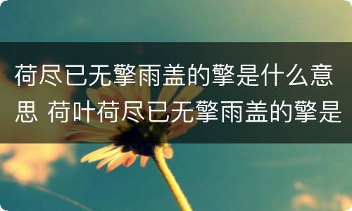 荷尽已无擎雨盖的擎是什么意思 荷叶荷尽已无擎雨盖的擎是什么意思