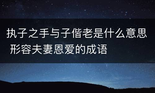 执子之手与子偕老是什么意思 形容夫妻恩爱的成语