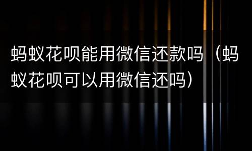 蚂蚁花呗能用微信还款吗（蚂蚁花呗可以用微信还吗）