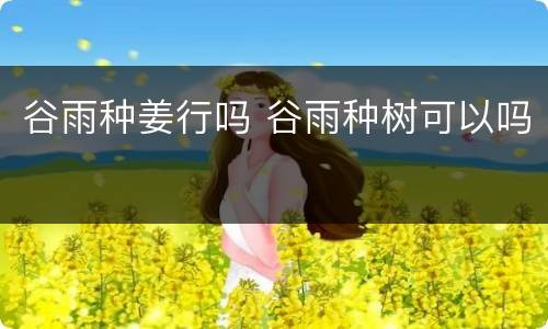 谷雨种姜行吗 谷雨种树可以吗