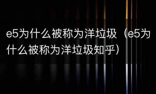e5为什么被称为洋垃圾（e5为什么被称为洋垃圾知乎）