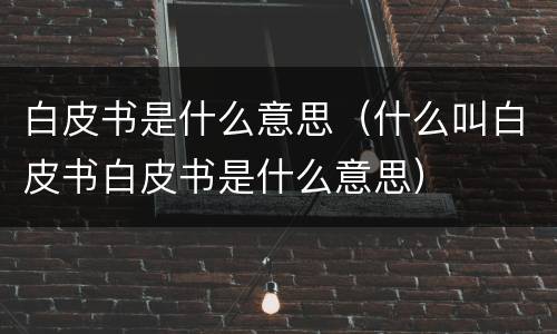 白皮书是什么意思（什么叫白皮书白皮书是什么意思）