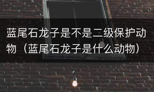 蓝尾石龙子是不是二级保护动物（蓝尾石龙子是什么动物）