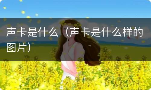 声卡是什么（声卡是什么样的图片）