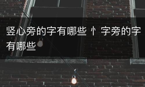 竖心旁的字有哪些 忄字旁的字有哪些