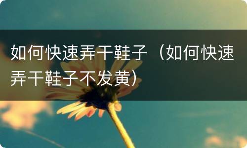 如何快速弄干鞋子（如何快速弄干鞋子不发黄）